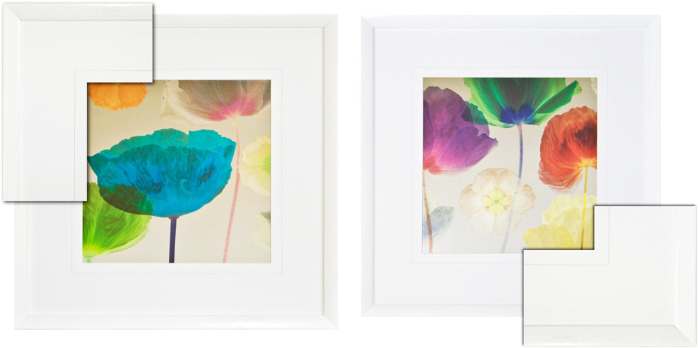 FP032 Wall décor art framed print floral set of 2 white frame